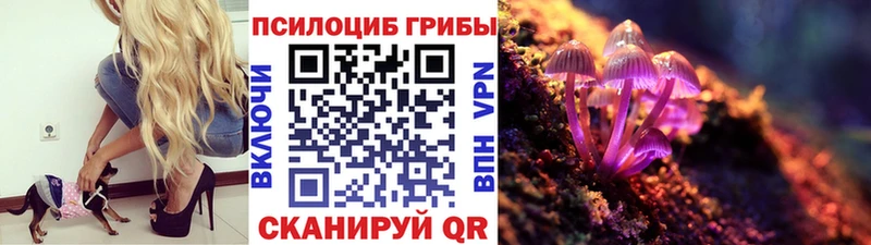 Галлюциногенные грибы Psilocybine cubensis  наркошоп  Нефтекамск 