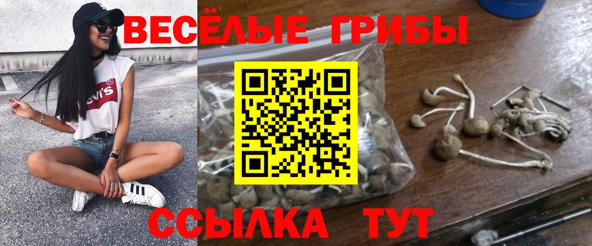 Псилоцибиновые грибы Cubensis Нефтекамск