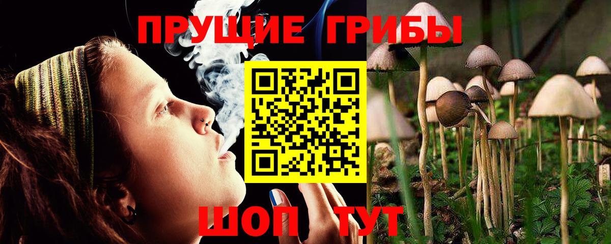Нефтекамск  Галлюциногенные грибы MAGIC MUSHROOMS  Вход с VPN 